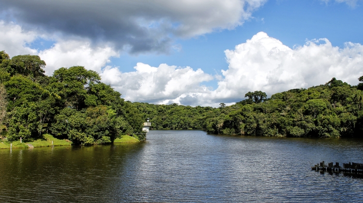 Termina dia 10 inscrição para vagas no Conselho do Meio Ambiente de Cotia