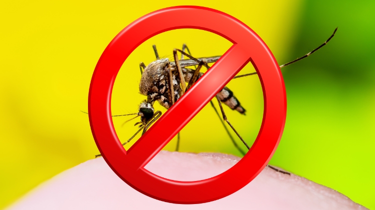 Sim para o repelente e não para a água parada na luta contra a Dengue