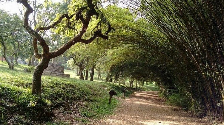 Parque CEMUCAM celebra 57 anos com programação especial em março