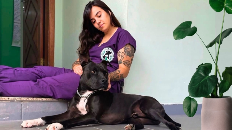 Green Vet aposta em medicina veterinária integrativa