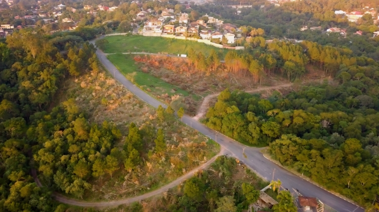 Tudo parado: embargo do Vitta Fazendinha mantido. TJSP leva disputa para perícia ambiental
