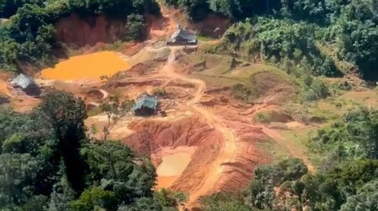Câmara de Cotia estuda canal para ampliar denúncias de crimes ambientais