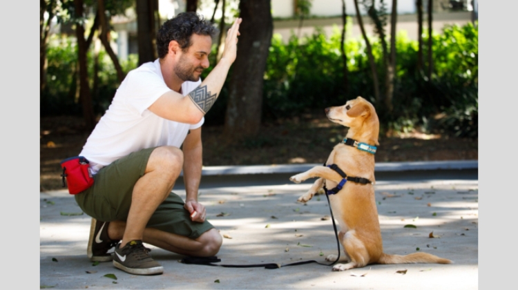 Palestra sobre Bem-Estar Animal com Daniel Svevo no Shopping Granja Vianna