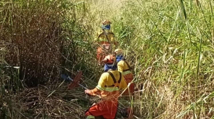 Ecovias Raposo Castello reforça ações de prevenção a queimadas durante período de estiagem