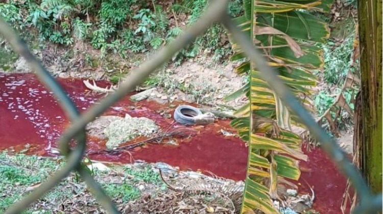 Fiscalização da Prefeitura flagra crime ambiental e lacra fábrica clandestina na divisa com Embu das Artes