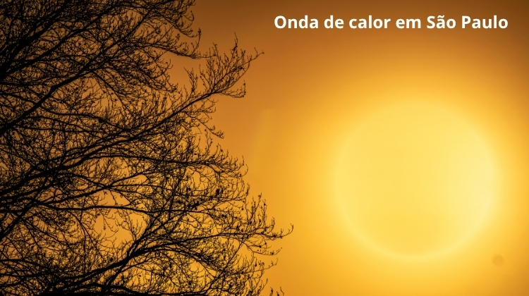 Defesa Civil alerta para onda de calor e risco de incêndios em São Paulo