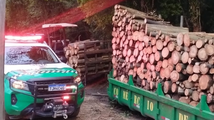 Guarda Ambiental prende três suspeitos de desmatamento ilegal no Jardim Aguassaí, em Cotia