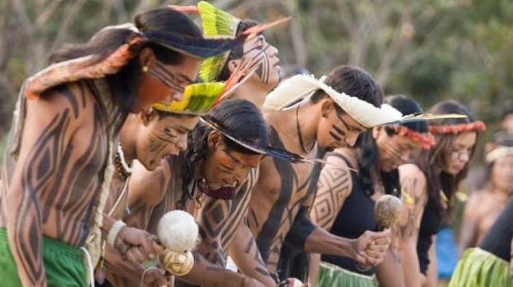 EcoFeira Granja Viana recebe cultura indígena e promove ação para o Dia das Crianças